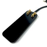 DSM Foot Switch
